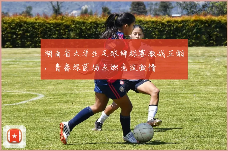 湖南省大学生足球锦标赛激战正酣，青春绿茵场点燃竞技激情